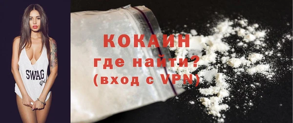 гидра Богданович