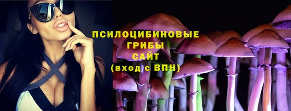гидра Богданович