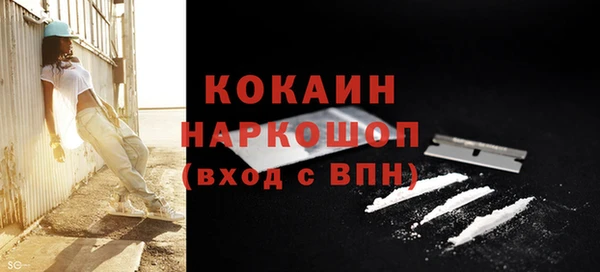 гидра Богданович
