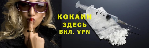 гидра Богданович