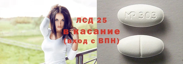 гидра Богданович