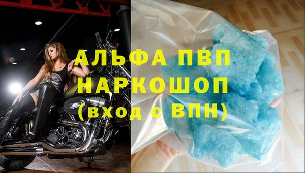 PSILOCYBIN Сафоново