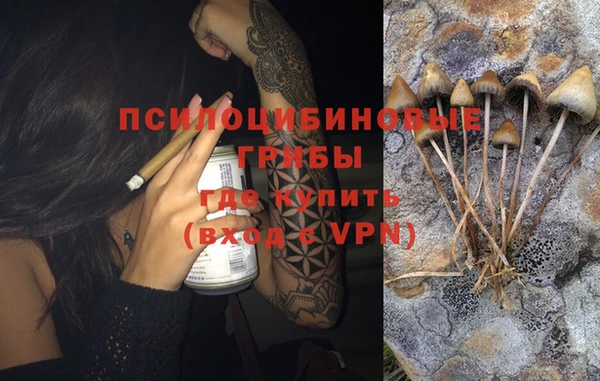 прущая мука Богородицк